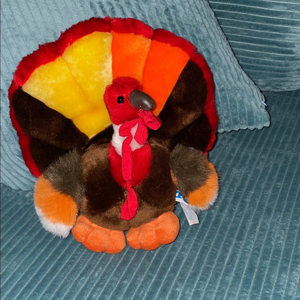 Stuffed turkey toy by Kids of America, approximately 9” x 9”